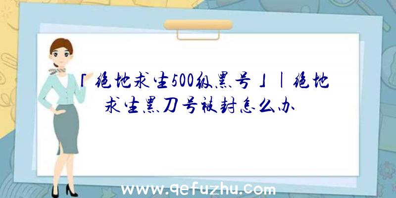 「绝地求生500级黑号」|绝地求生黑刀号被封怎么办